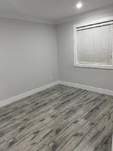 1 bedroom basement for rent in surrey Image# 1