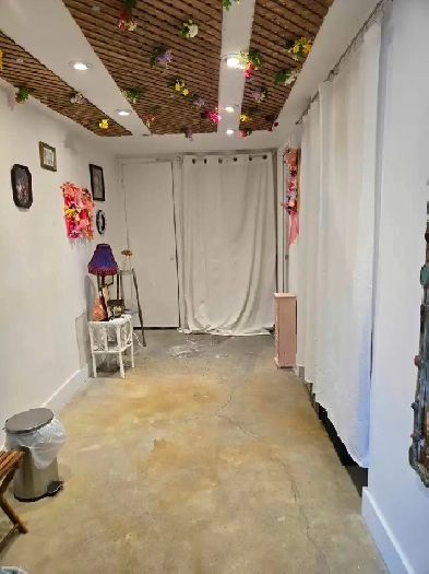 Studio & Loft for Decent $ Rent  (Live/Work) - Junction Area Image# 1