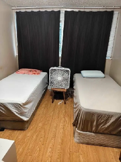 Shared room accommodation Image# 1