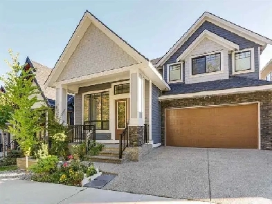 Basement suite for rent Image# 1