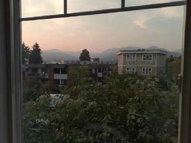 NICE TWO FULLY FURNISHED BEDROOMS SUITE IN RENOVATED HOME Image# 1