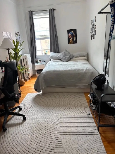 Sublet 1 bedroom in a 2-bedroomapartment near uOttawa Image# 1