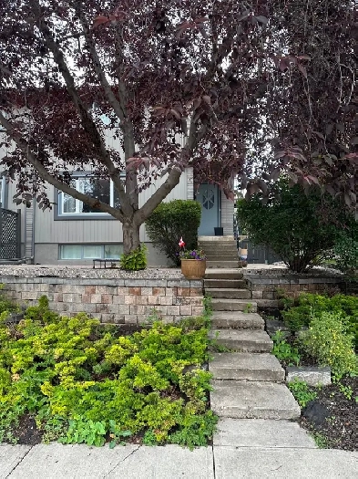 4 Bedrooms, 3 Baths, in Central Location Image# 1