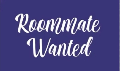 one master bedroom for rent in malton (shared) Image# 1