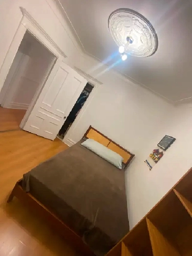 chambre à louer $825 boul lasalle près de la plage de Verdun Image# 1