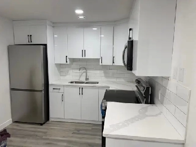 2 Bedroom Basement Apartment in Laurel, Edmonton Image# 1