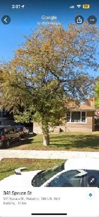 Room for rent Image# 1