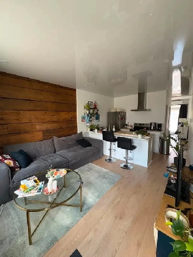 A louer - 3 1/2 Petite Italie - 1 837 CAD Image# 1