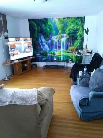 FOR SALE 5 BEDROOM FAMILY HOME-NICE SIZE ROOMS-LARGE BACK YARD Image# 5