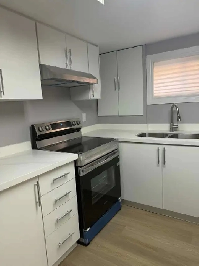 1 Bedroom Basement for Rent Image# 1