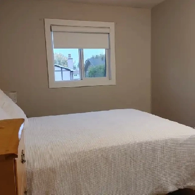 West Edmonton Room to Rent Image# 1