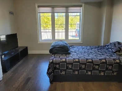 1 bedroom walkout (not basement) ground level apartment for rent Image# 1