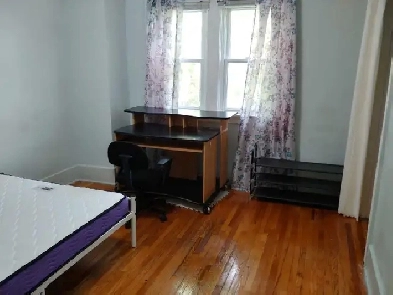 private room for rent Image# 2