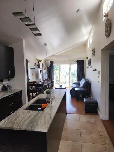 2BR Spectac Ocean and Mountain VIUniversity Dist. Av. January 1 Image# 4