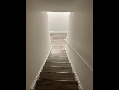 Basement tenancy Image# 1