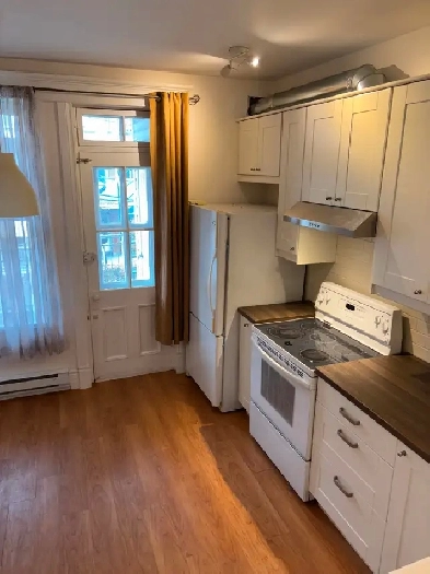 Joli 4 1/2 Apartement a Verdun Image# 1