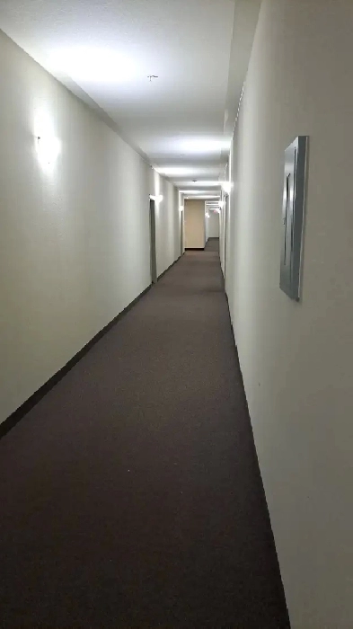 Condo for rent Image# 4