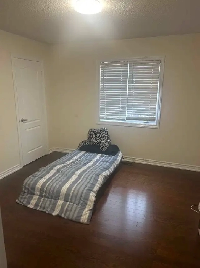 Walk out basement for rent Image# 1