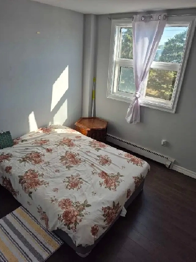 Looking for a respectful F to rent my spare room to Image# 8