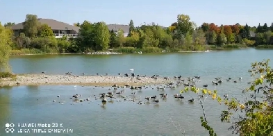 2 Br for 1 roommate in a Markham townhouse Image# 1