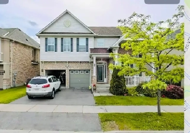 $1,600 New Legal Basement Apartment for Rent in Milton, Ontario Image# 1