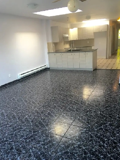 Grand Apartement 1750 pi ca, Boul. St-Michel Image# 1