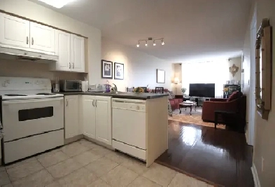 Furnished Short Term Rental Image# 7