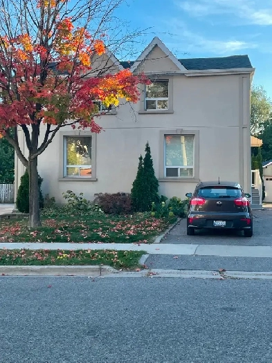 2 Bedroom 1 Bath 2nd Floor Apartment All-inclusive Brampton Image# 1