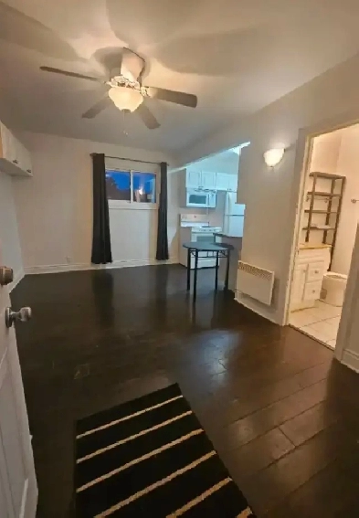 Unique Bachelor Apartment - West End of City Image# 6