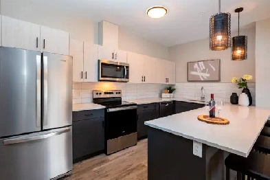 2 Bed, 1 Bed, & 1 Bed   Den Units Available For Rent! Image# 1