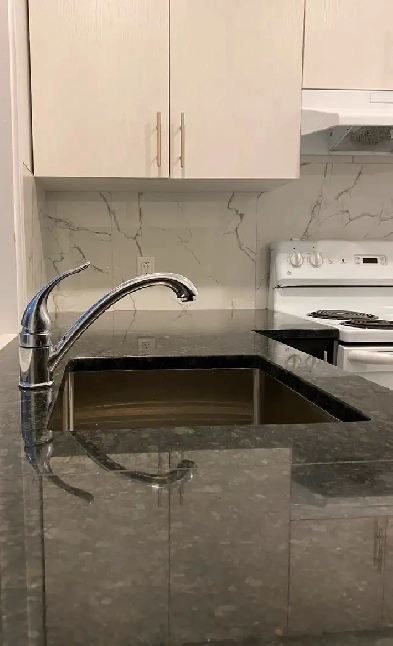 Newly Renovated 3 1/2 apartment Image# 1