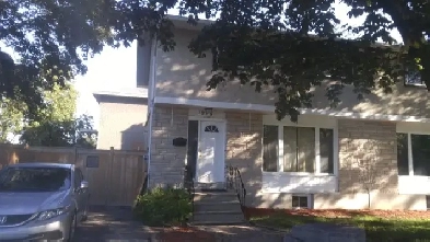 Private Basement Apartment for Rent Carling Area Image# 1