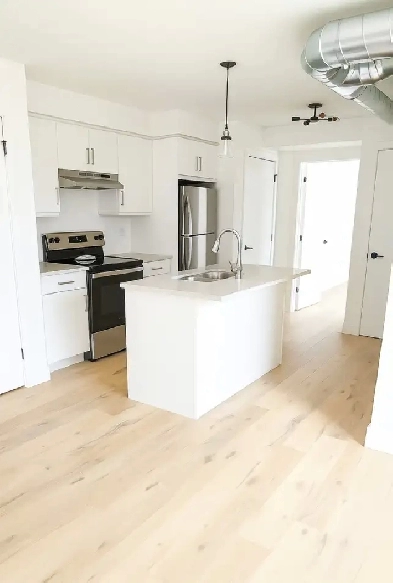 1 Bed 1 Bath ready for Dec 1st - Newly renovated! Image# 1