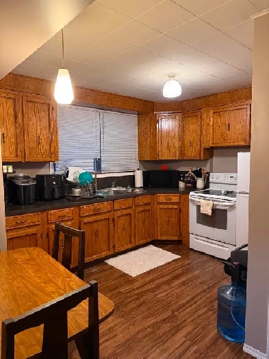 YORKTON One-Bedroom Suite for rent in lower level of four-plex Image# 4