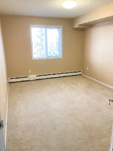 1-Bedroom Apartment in CLAREVIEW receive $200 FREE early move-in Image# 1