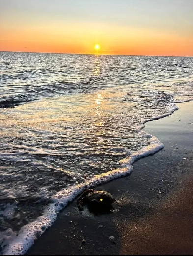 Beach Side Living, Shediac New Brunswick Image# 1