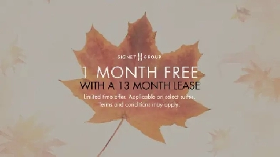 2 Bedroom Apartment for Rent - 206 Lakeshore Road East Image# 1