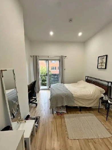 WINTER/SUMMER SUBLET - 4-Bedroom Apartment 10mins from McGill Image# 1