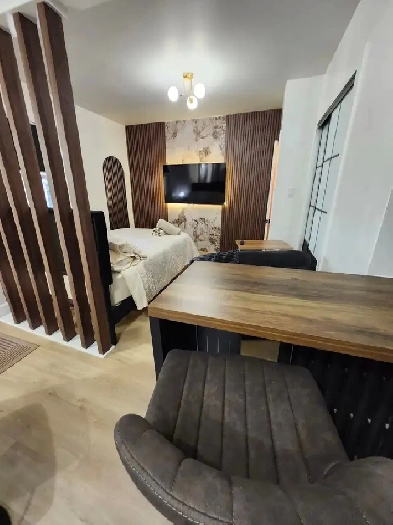 Fully Furnished Central Studio - Ensuite Laundry   Bell WiFi Image# 6
