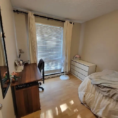 Chambre étudiante Image# 2