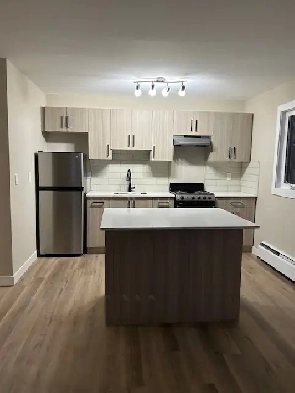 CLOSE TO UOFA- LARGE RENOVATED 2 BRM UNIT-3RD FLOOR-BALCONY Image# 1