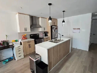 Logement 4 1/2 LIBRE MAINTENANT Image# 7