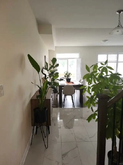 Room available for Rent Image# 1