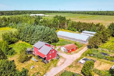 Ferme Maraîchère Biologique à vendre! Image# 4