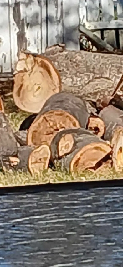 Looking for Room or Roommate ASAP Image# 1