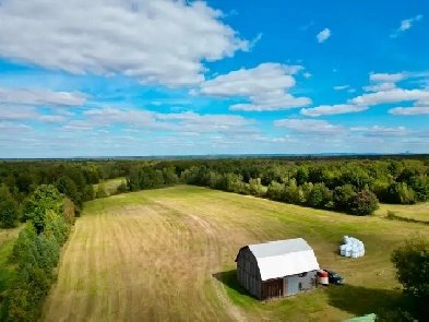 Terre agricole à St-Lucien à vendre! Image# 5