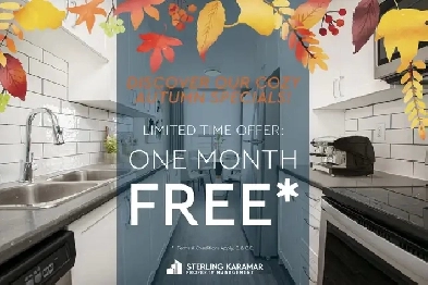 Sycamore Apartments  - 1 Bedroom Apartment for Rent Image# 1