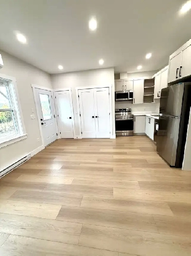 For  Rent: Brand new 2 bed 1 bath Lower Unit Image# 1