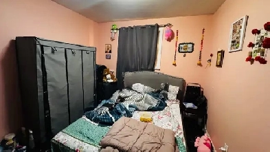 1 bed 1 bath Image# 1