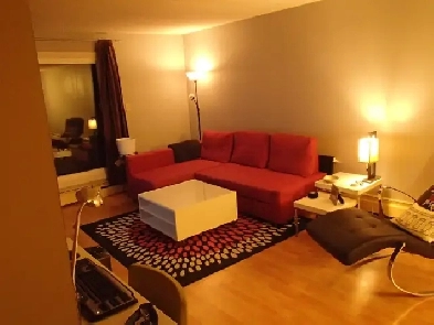 Bright Renovated One bedroom Image# 1